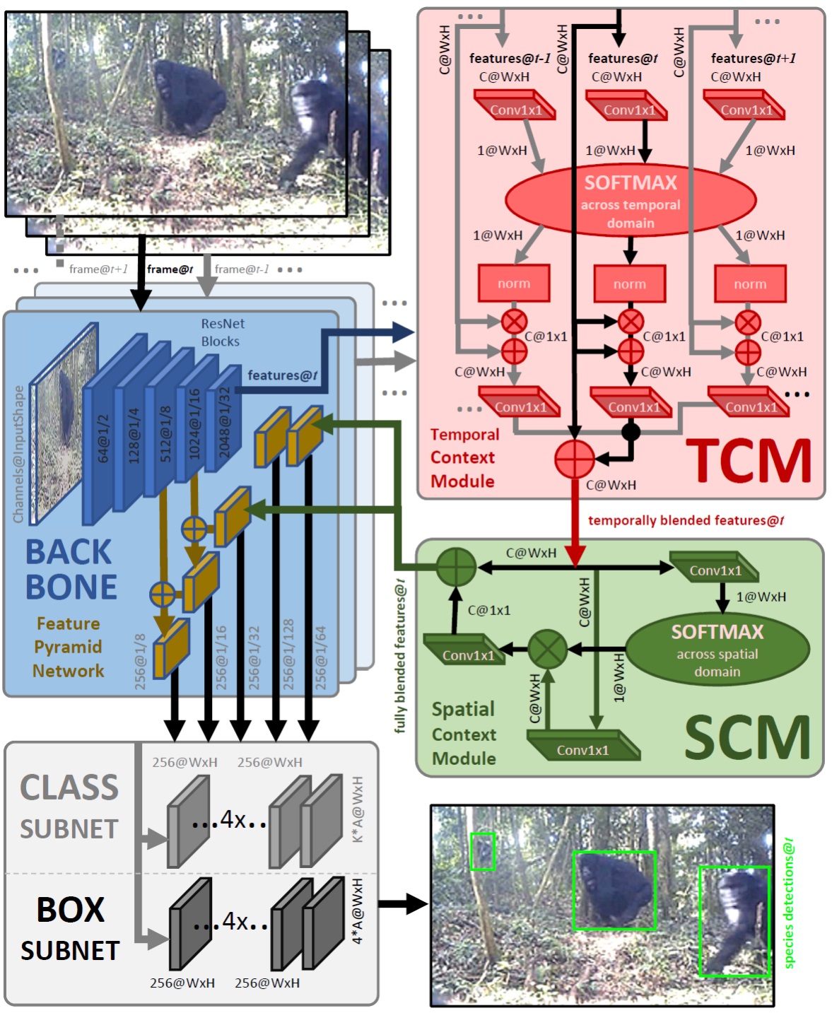 great ape detection pipeline